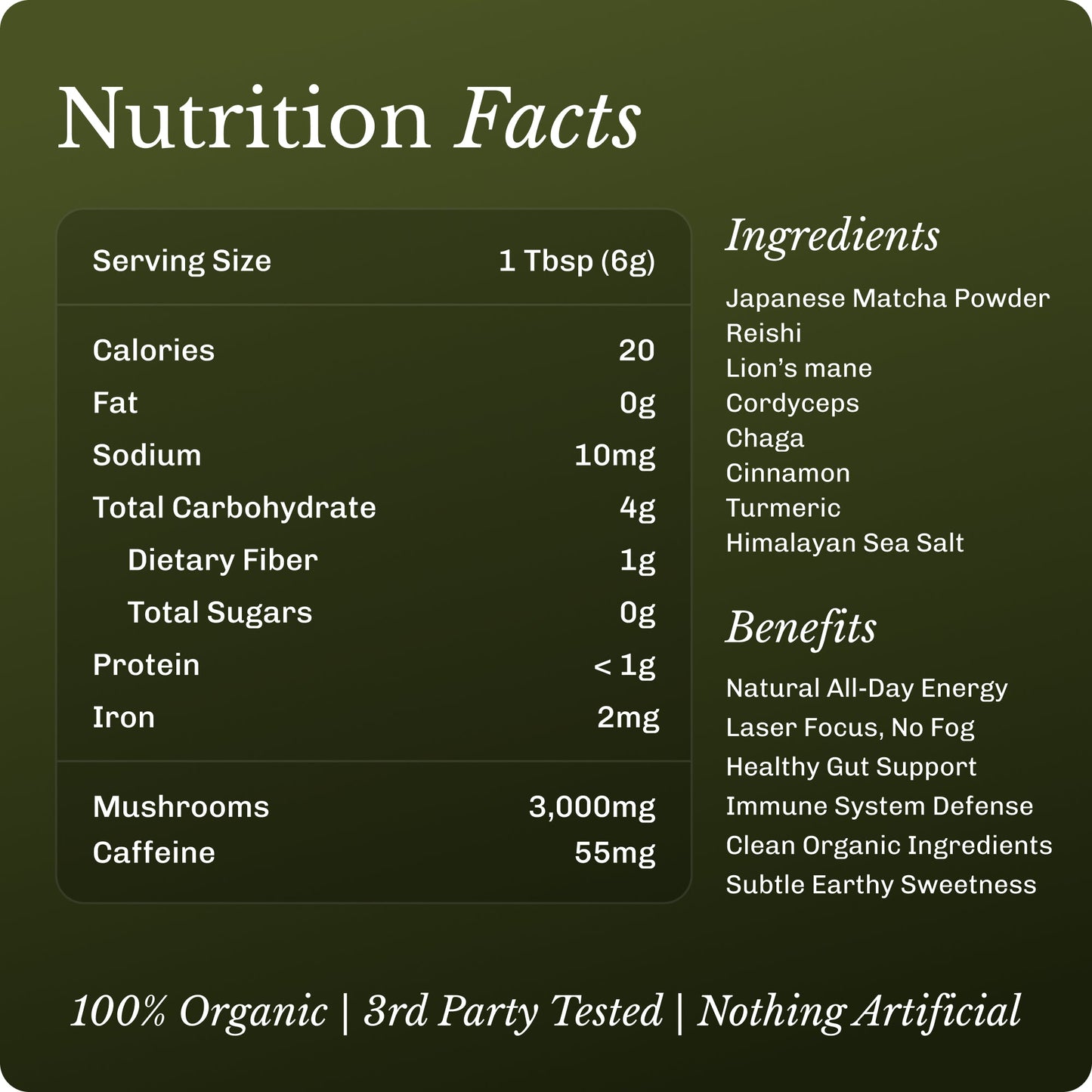 matcha-starter-kit-w4 Matcha_image_04.jpg