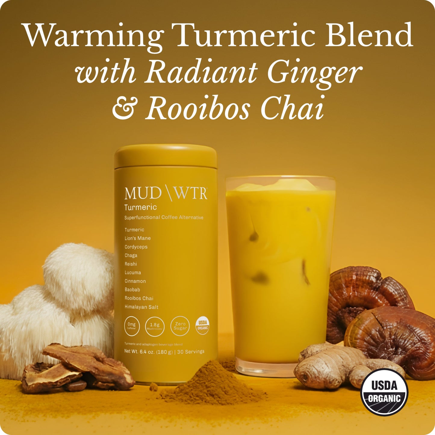 turmeric-30-serving-b8 Turmeric_image_01.jpg