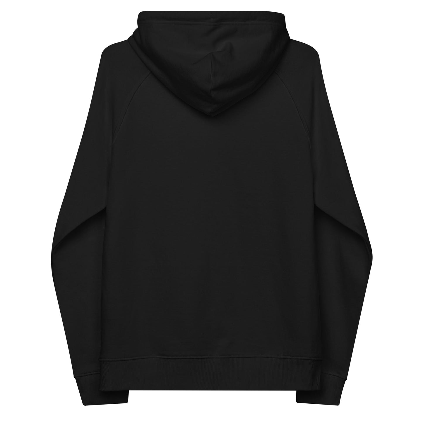 unlearn-relearn-hoodie-t4 unisex-eco-raglan-hoodie-black-back-647547b169f25.jpg