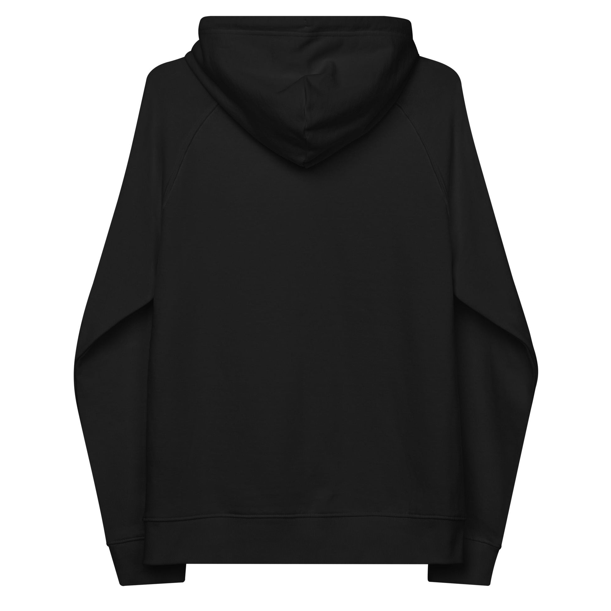 unlearn-relearn-hoodie-t4 unisex-eco-raglan-hoodie-black-back-647547b169f25.jpg